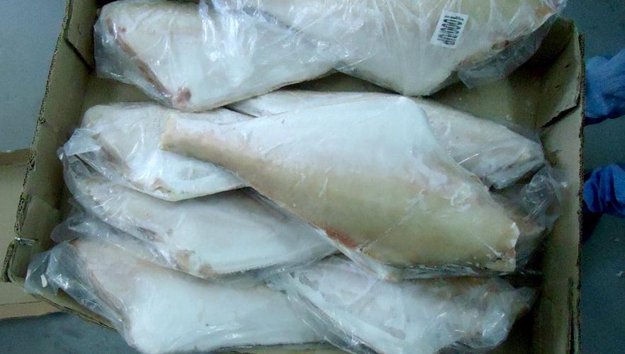 现货进口 印度三去马面鱼 批发 冷冻水产海鲜 福建水产品图片_6