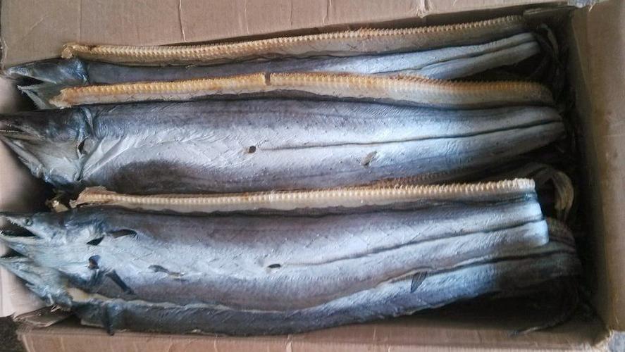干制水产品 海鳗鱼干 渔家自晒鳗鱼干 深海鳗鱼 海鲜干货批发 图集